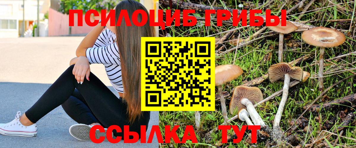 Галлюциногенные грибы мицелий Снежинск