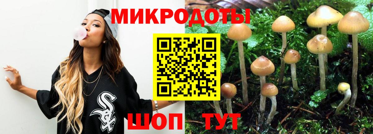 Псилоцибиновые грибы мицелий  Вход с VPN  купить   Снежинск 